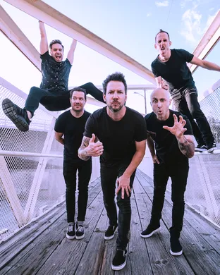 Simple Plan Wantagh